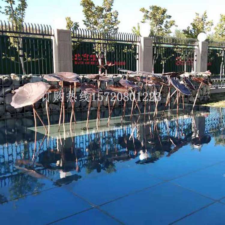 荷叶1.jpg 荷叶1.jpg